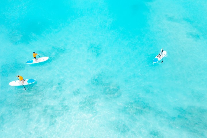 Waikiki Beach surf lessons surf learn to surf