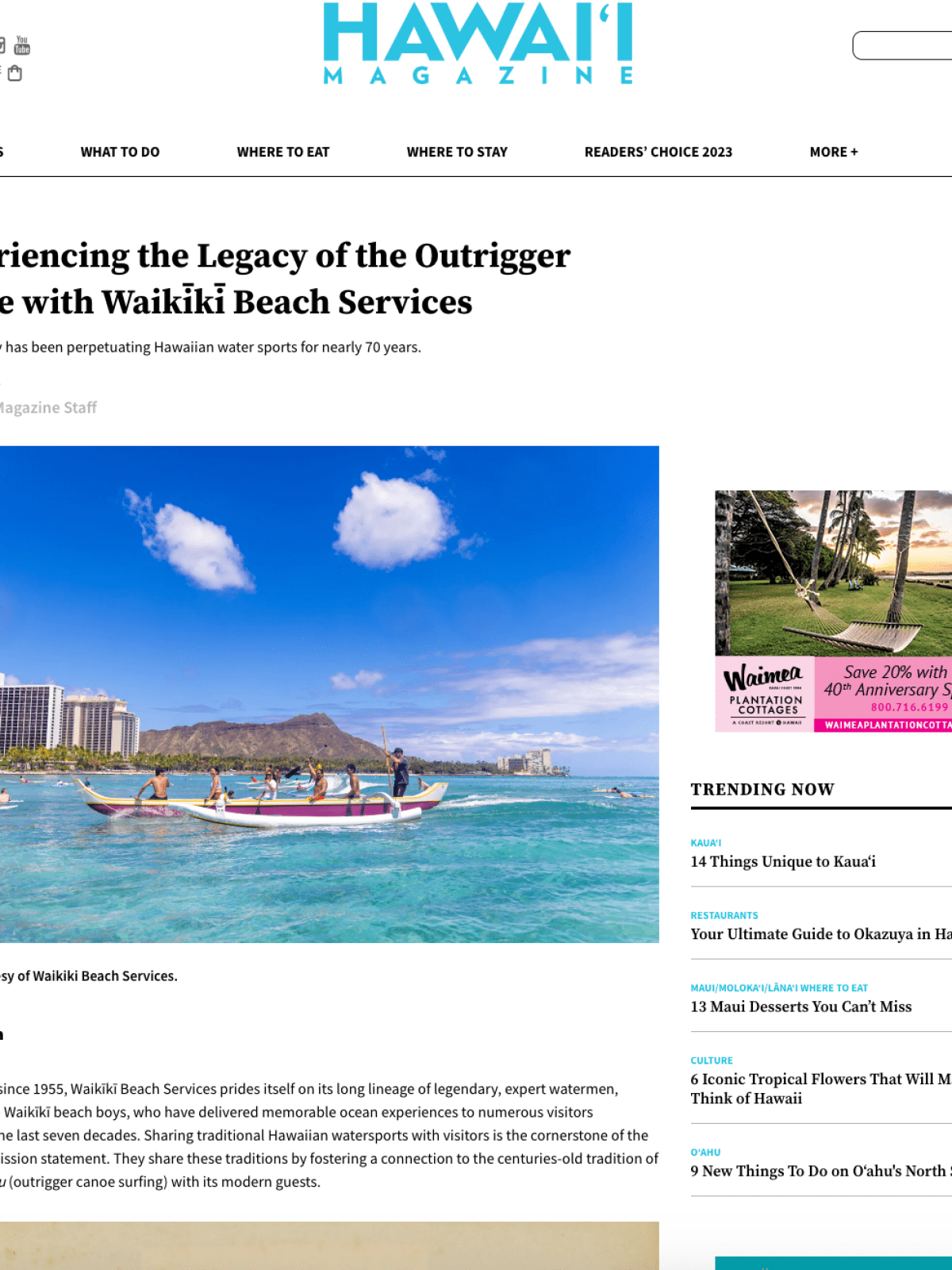 graphical user interface, Word, website