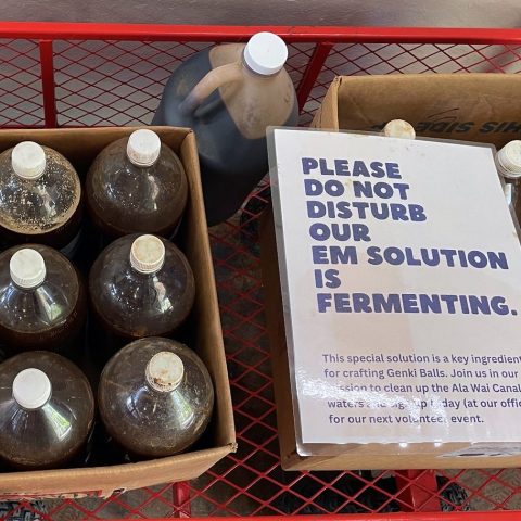 Box of large bottles with liquid, beside sign about fermentation process.