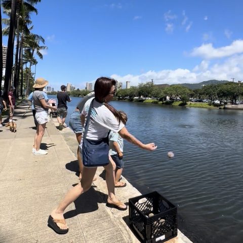 People throwing bread to ducks in a river under a clear blue sky.