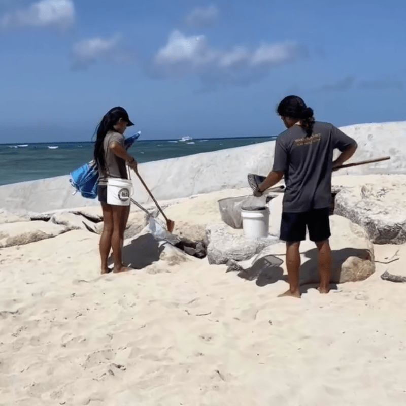 Two people cleaning beach with bags and tools near rocks.