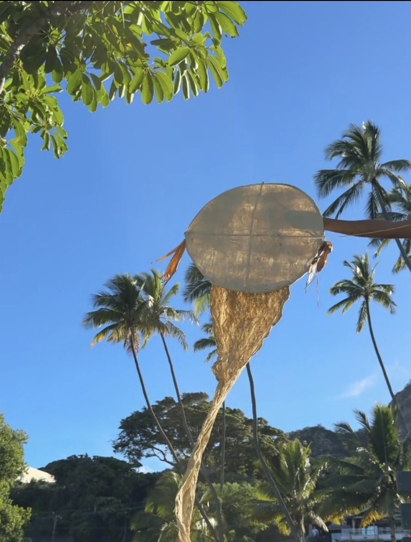 Woven net with palm trees and blue sky in the background.