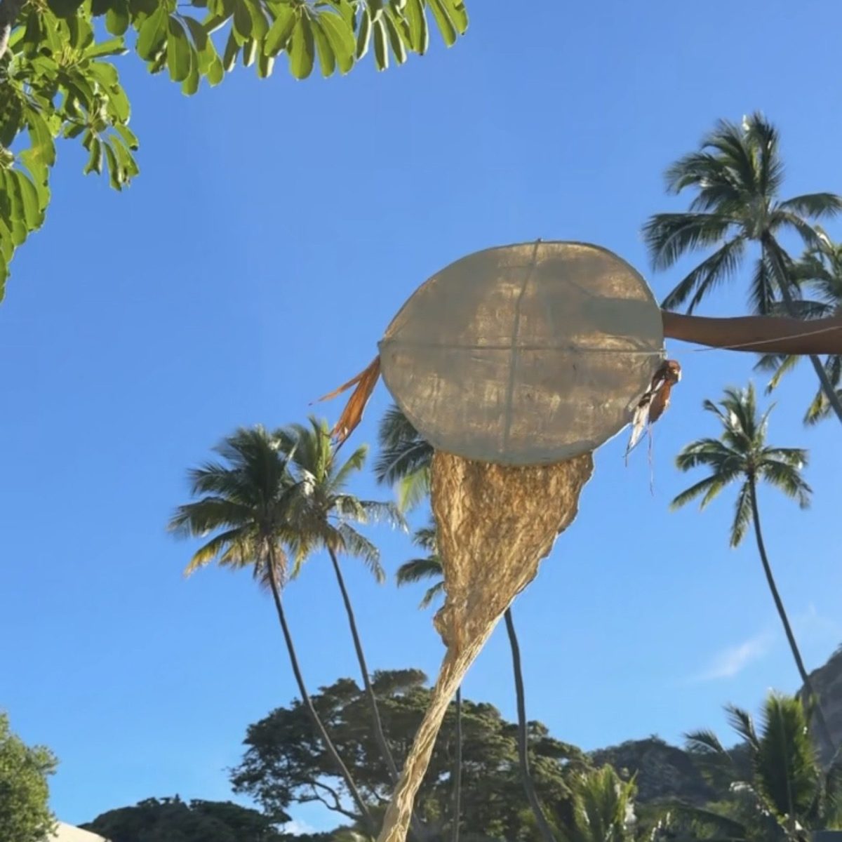 Woven net with palm trees and blue sky in the background.