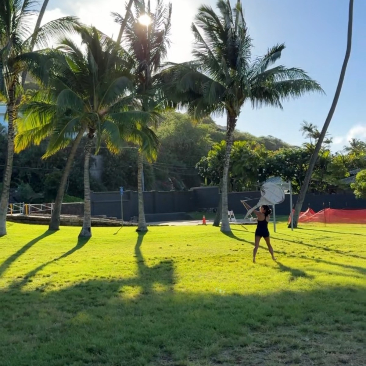 Person walking on grass among palm trees with sun in background.
