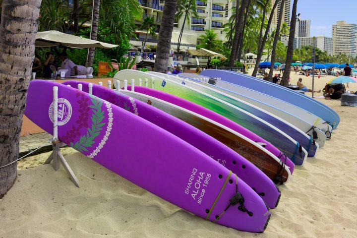 Colorful surfboards leaning against palm trees on a sandy beach.