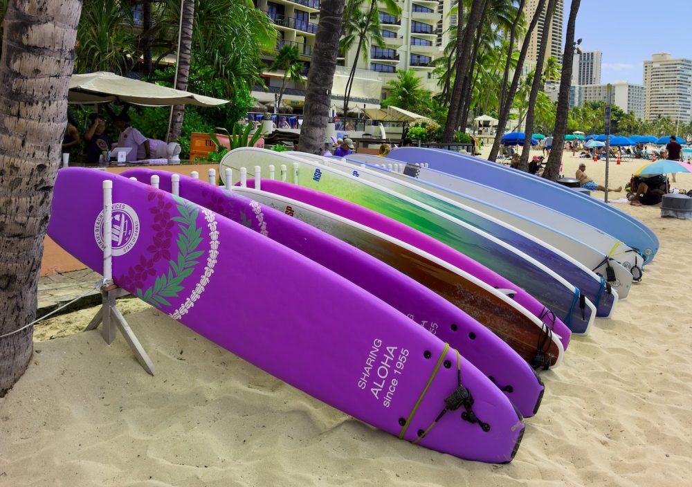 Colorful surfboards leaning against palm trees on a sandy beach.